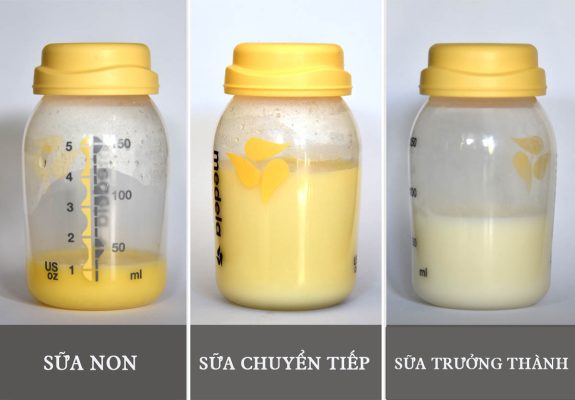 sữa non colostrum là gì