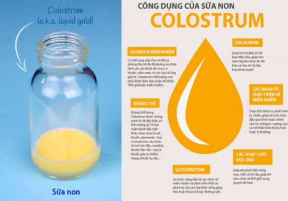 sữa non colostrum có tốt không